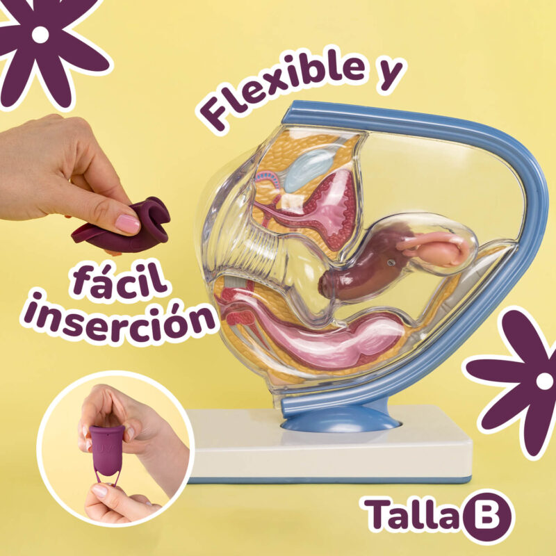 Copa Menstrual UVA 2 talla B