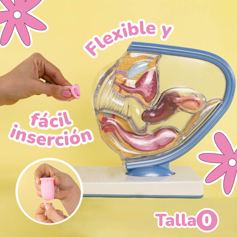 Copa Menstrual UVA 2 Talla 0