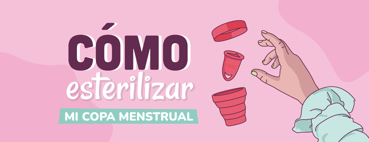 Calígrafo veredicto pecho Como esterilizar la copa menstrual - Copa UVA